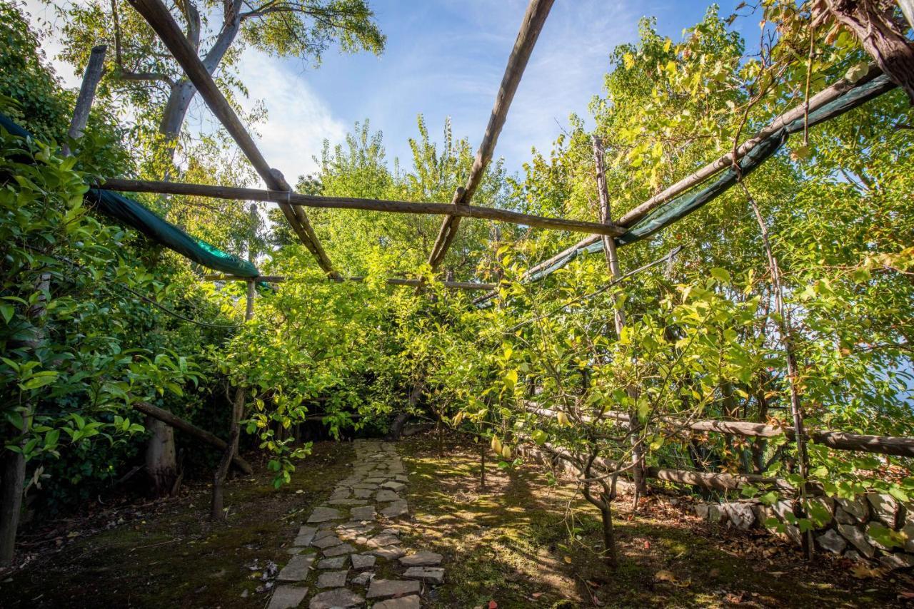 Casa Angelica Sorrento Exterior foto